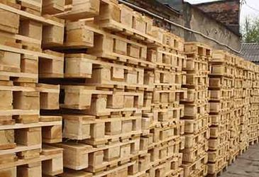 Выбор тары для экспорта