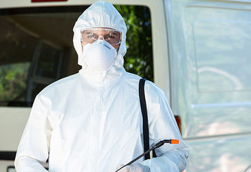 Организация Пест-контроля