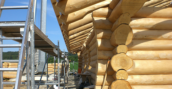 Фумигация дома от короеда